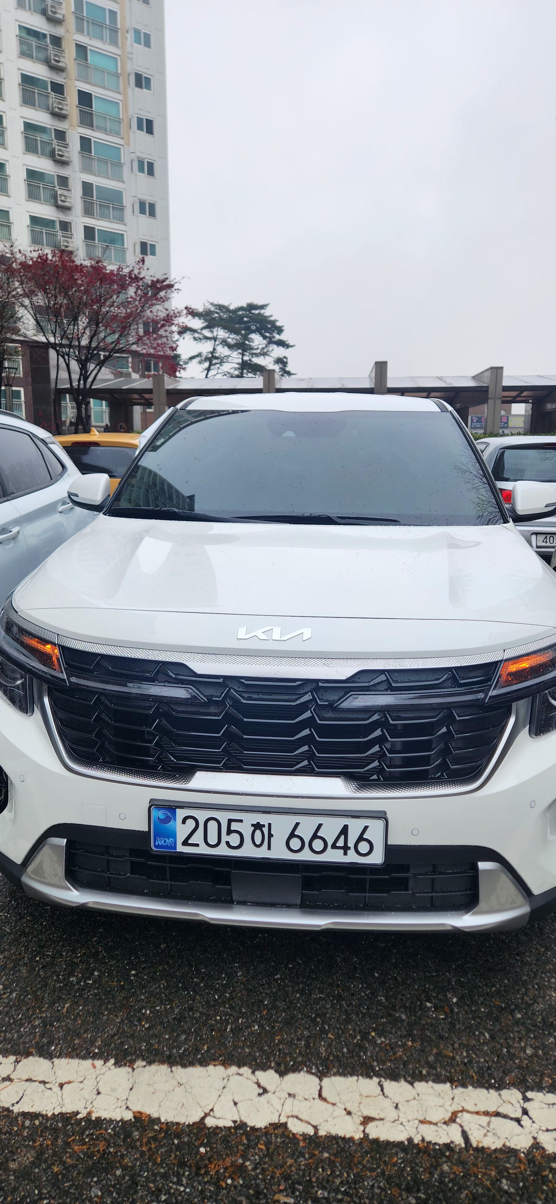 📌셀토스 출고 후기